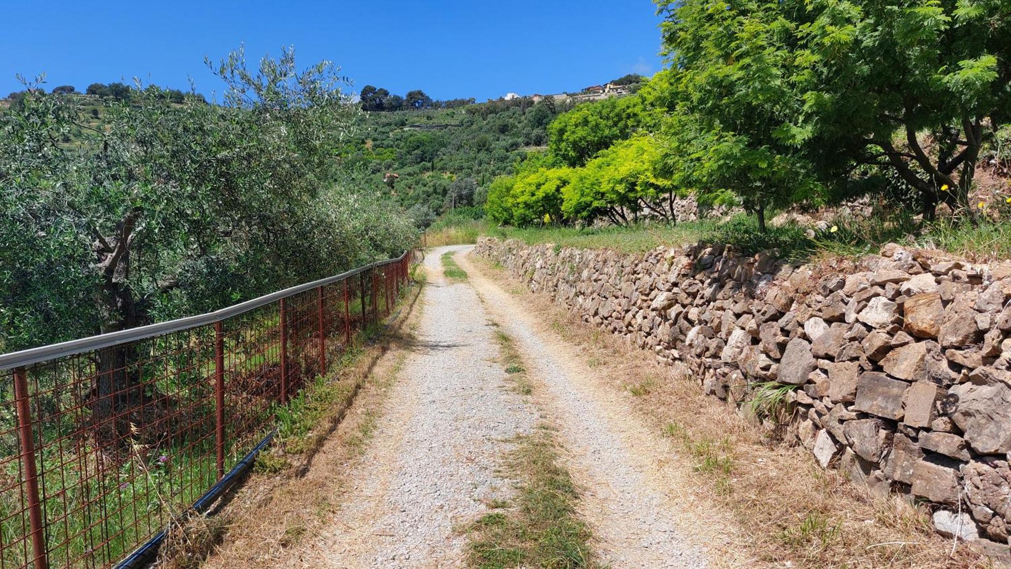 Il Nido Del Viaggiatore Vallebona Exterior foto